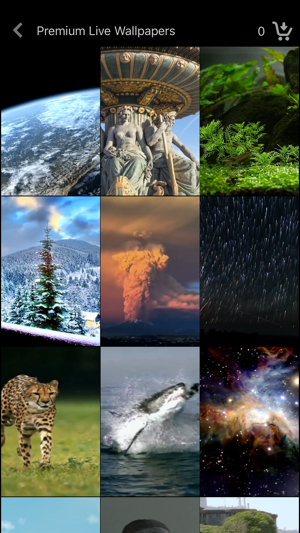 Live Wallpaper Collections iOS App for iPhone and iPad