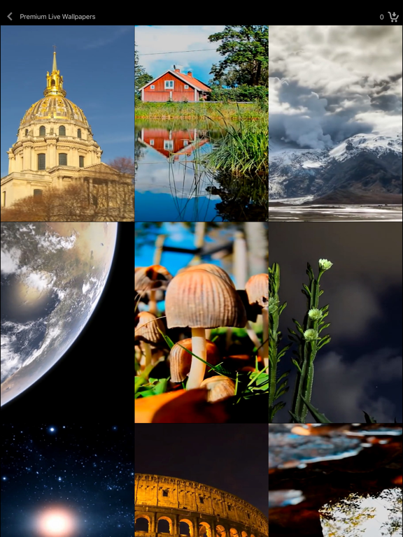 Live_Wallpaper_Collections iPadOS App Screenshot 2