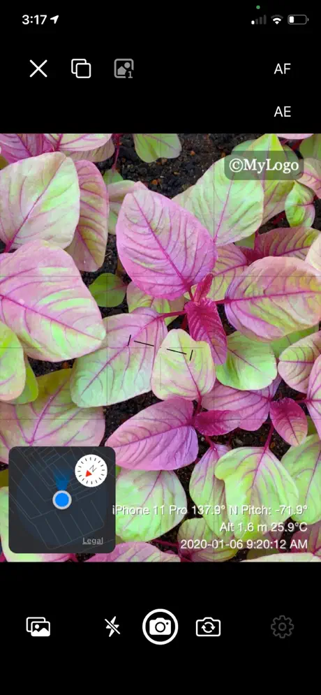 Log_Cam_Plus iOS App Screenshot 2