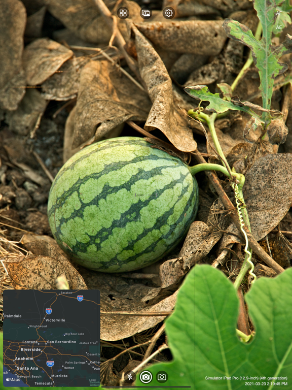 Log_Cam_Plus iPadOS App Screenshot 1