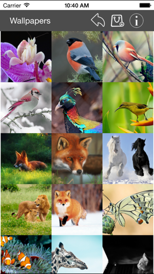 Wallpaper Collection Animals Edition iOS App for iPhone and iPad