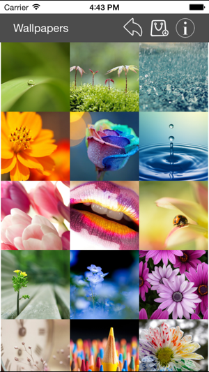 Wallpaper Collection Macro Edition iOS App for iPhone and iPad