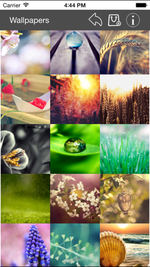 Wallpaper Collection Macro Edition iOS App for iPhone and iPad
