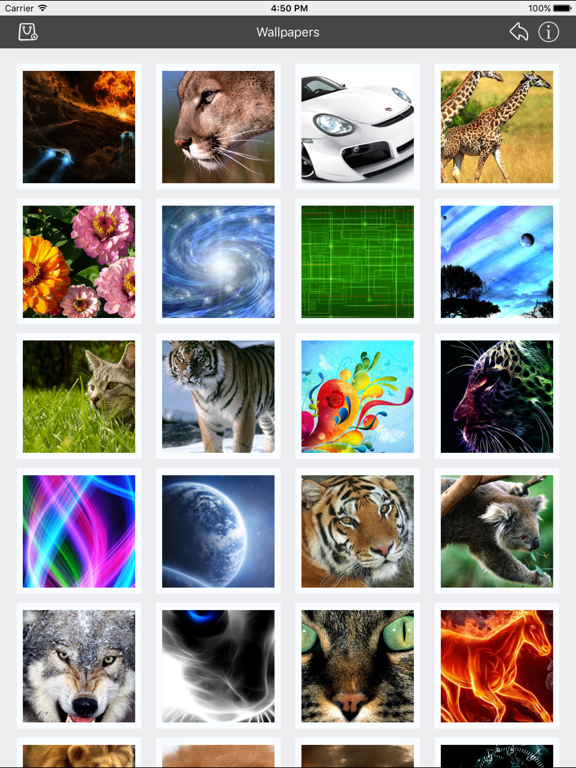 Wallpapers_Collection_Premium iPadOS App Screenshot 2