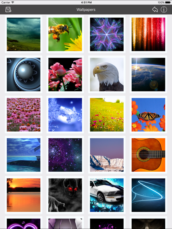 Wallpapers_Collection_Premium iPadOS App Screenshot 4