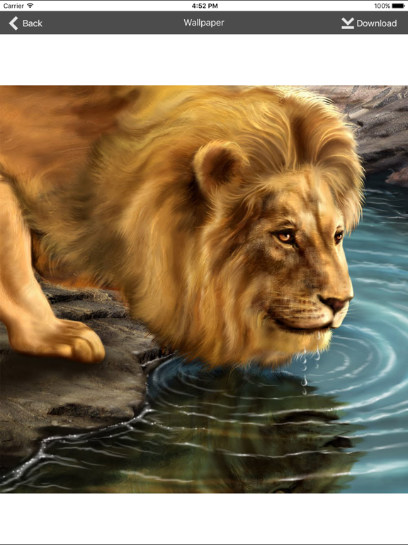 Wallpapers_Collection_Premium iPadOS App Screenshot 5