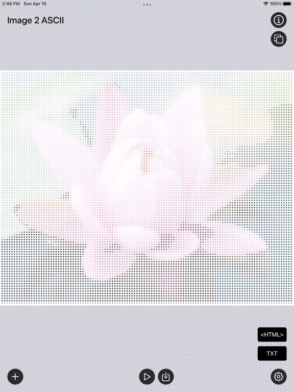Image_2_ASCII_Art iPadOS App Screenshot 9