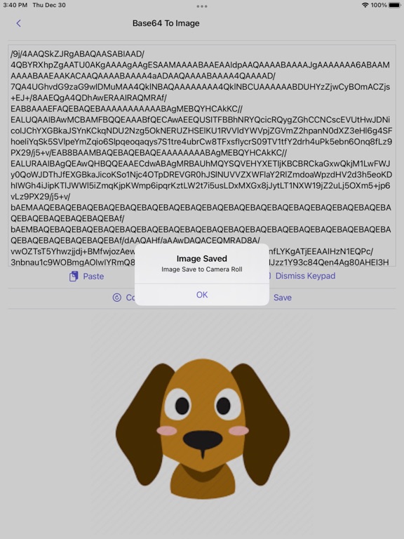 Image_to_Base64_Plus iPadOS App Screenshot 10