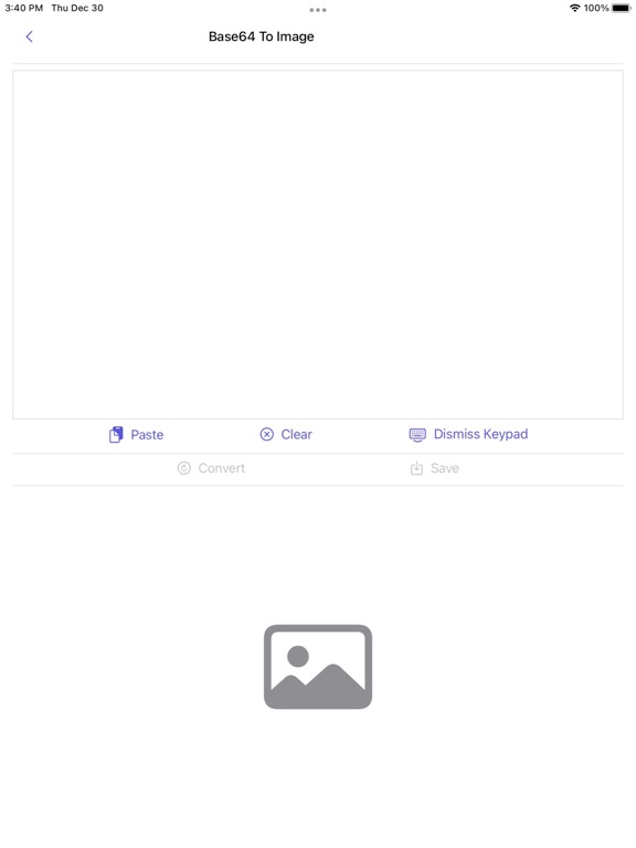 Image_to_Base64_Plus iPadOS App Screenshot 8