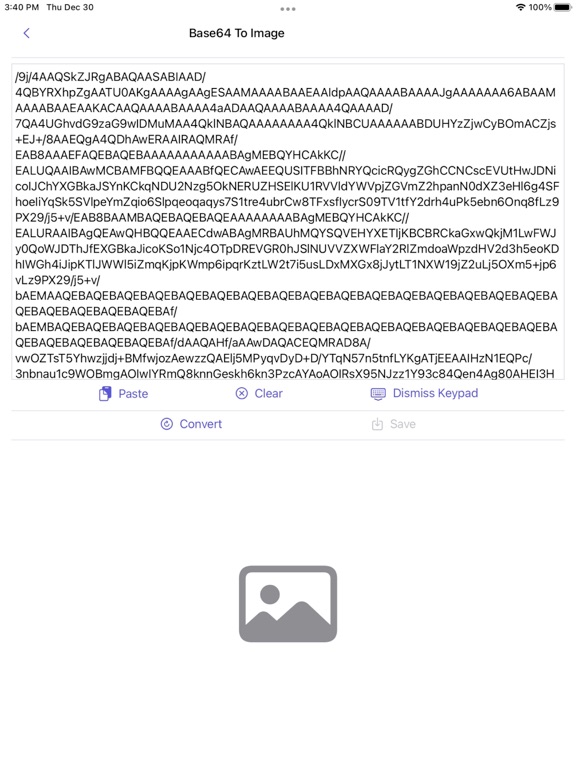 Image_to_Base64_Plus iPadOS App Screenshot 9