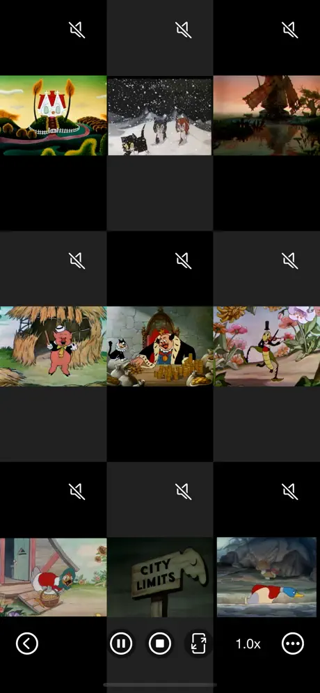 Multi_Video_Player_Plus iOS App Screenshot 5