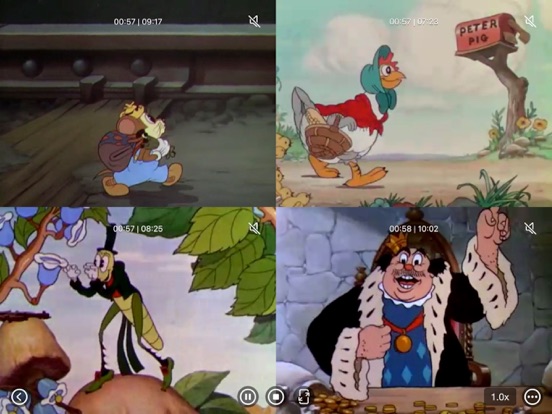 Multi_Video_Player_Plus iPadOS App Screenshot 7