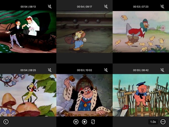 Multi_Video_Player_Plus iPadOS App Screenshot 8