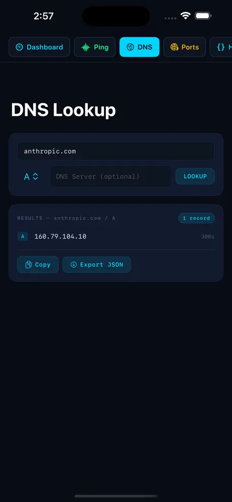 NetPulse iOS App Screenshot 4