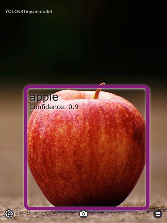 Object_Detection_Cam iPadOS App Screenshot 10