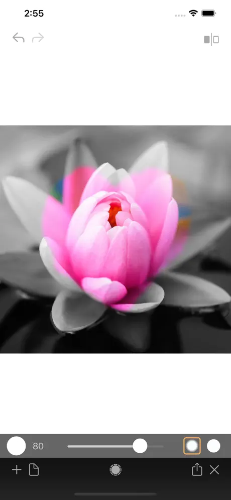 Photo_Color_Painter iOS App Screenshot 1