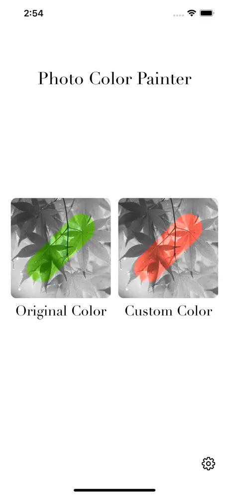Photo_Color_Painter iOS App Screenshot 2