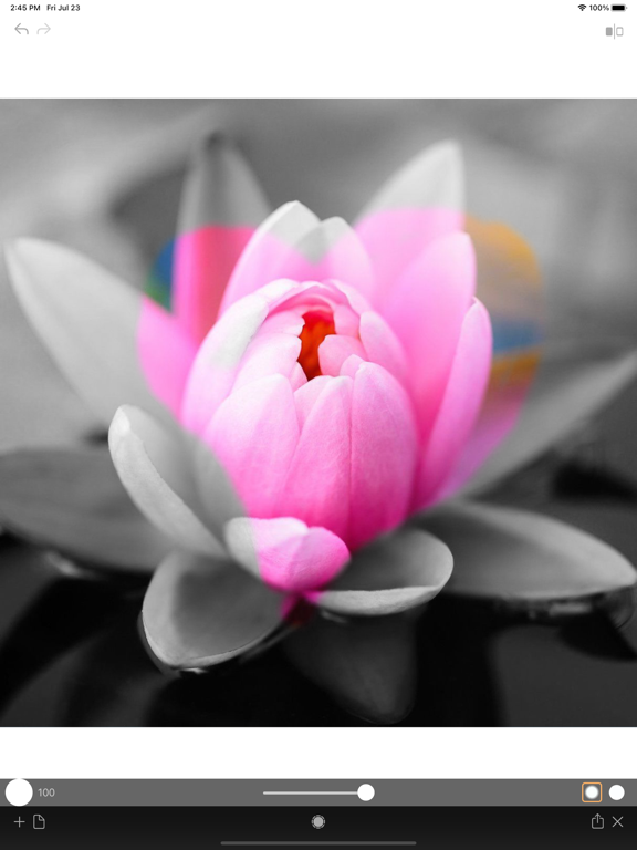 Photo_Color_Painter iPadOS App Screenshot 2