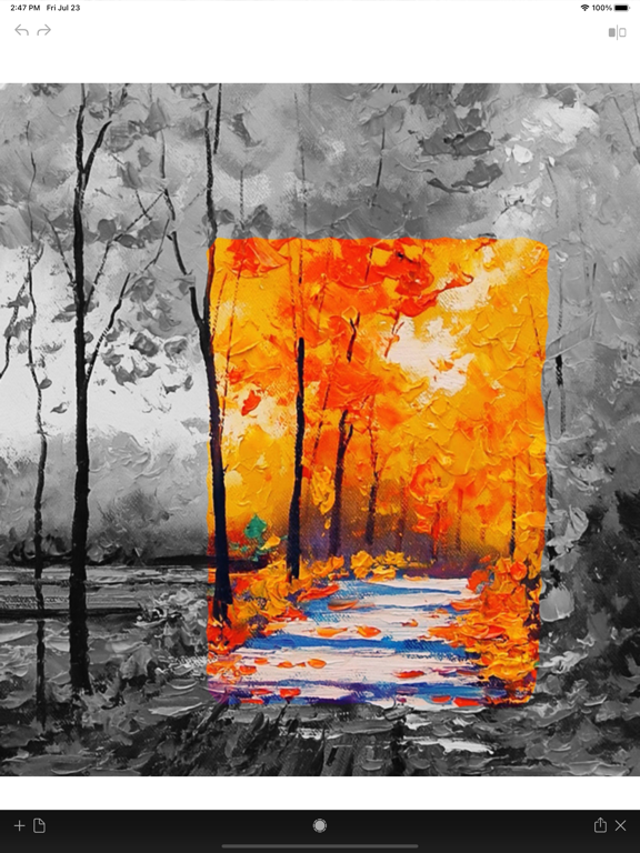 Photo_Color_Painter iPadOS App Screenshot 6