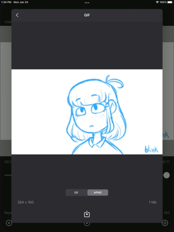 Video2Gif_Plus iPadOS App Screenshot 9