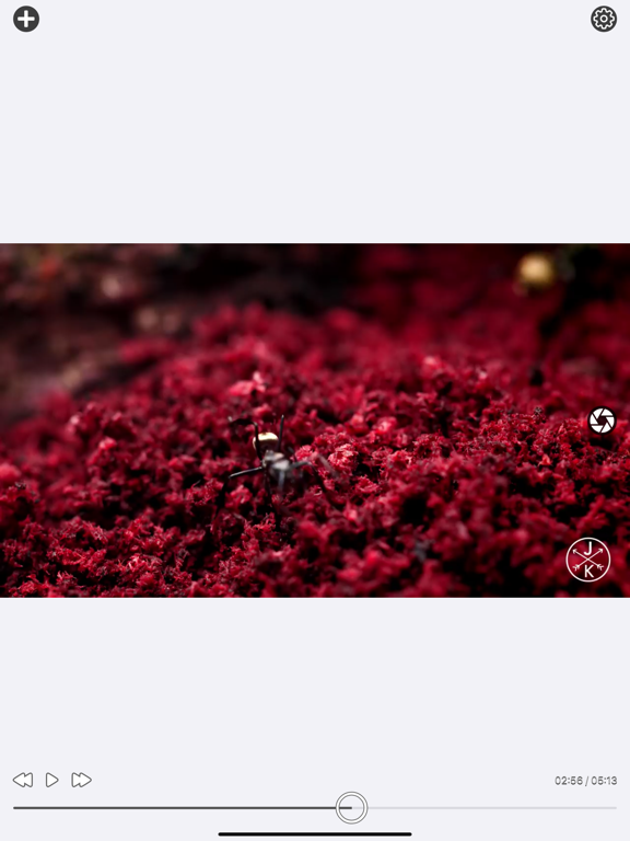 Video_To_Photo_Plus iPadOS App Screenshot 7