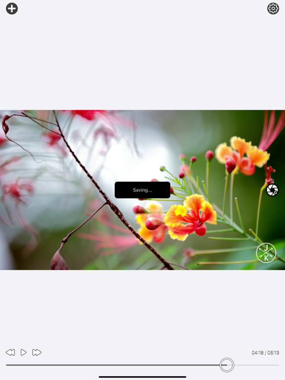 Video_To_Photo_Plus iPadOS App Screenshot 9