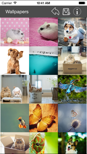 Wallpaper Collection Animals Edition iOS App for iPhone and iPad