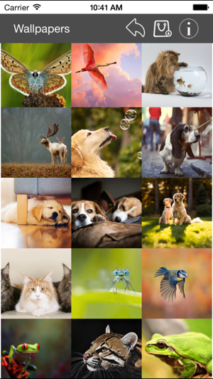Wallpaper Collection Animals Edition iOS App for iPhone and iPad